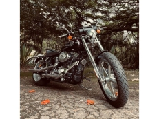 Harley Davidson Softail Rocker Fxcw