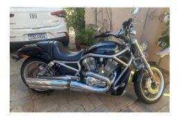 Harley Davidson V-Rod