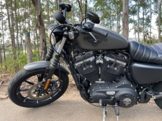 Harley Davidson XL 883