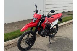 Honda XR 300