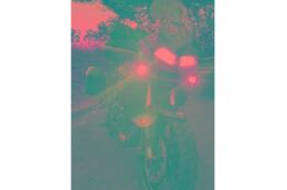 Triumph Tiger 900